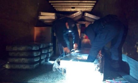 Policía Federal detecta 200 kilos de mota en un camión en Zacatecas