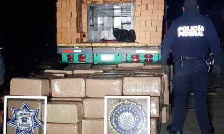 ¡Policía Federal asegura mil 240 kilos de marihuana oculta entre ladrillos en Zacatecas!