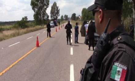POLICÍAS ASEGURARON DOS EQUINOS QUE ERAN TRANSPORTADOS SIN LA DOCUMENTACIÓN CORRESPONDIENTE
