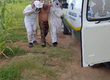 ¡En Aguascalientes murió jornalero tras recibir más de 100 picaduras de abejas!