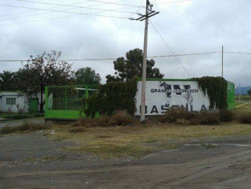 MUERTO CAIDA PACAS DE RASTROJO GRANJA JESUS MARIA (1)